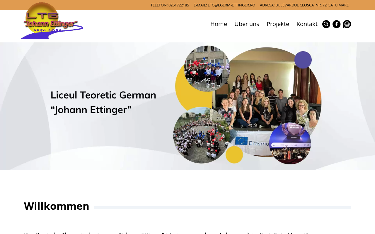 Website von Das Deutsche Theoretische Lyzeum „Johann Ettinger“